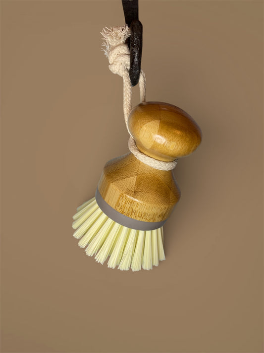 Dish Brush