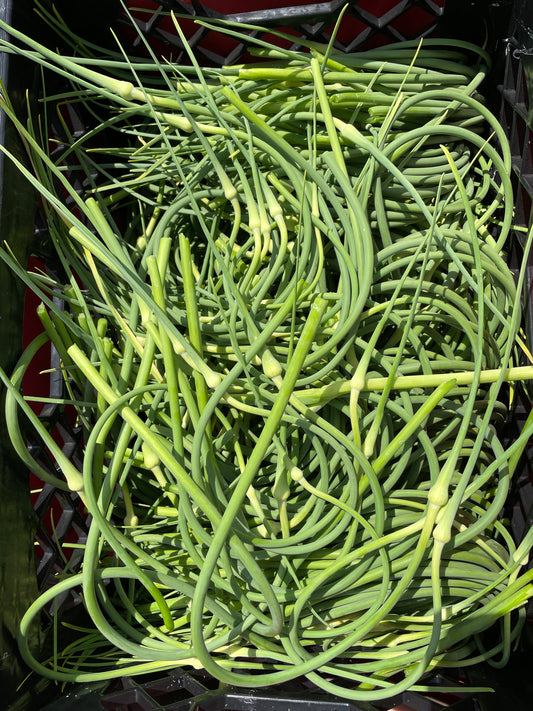 *PERORDER* Garlic Scapes