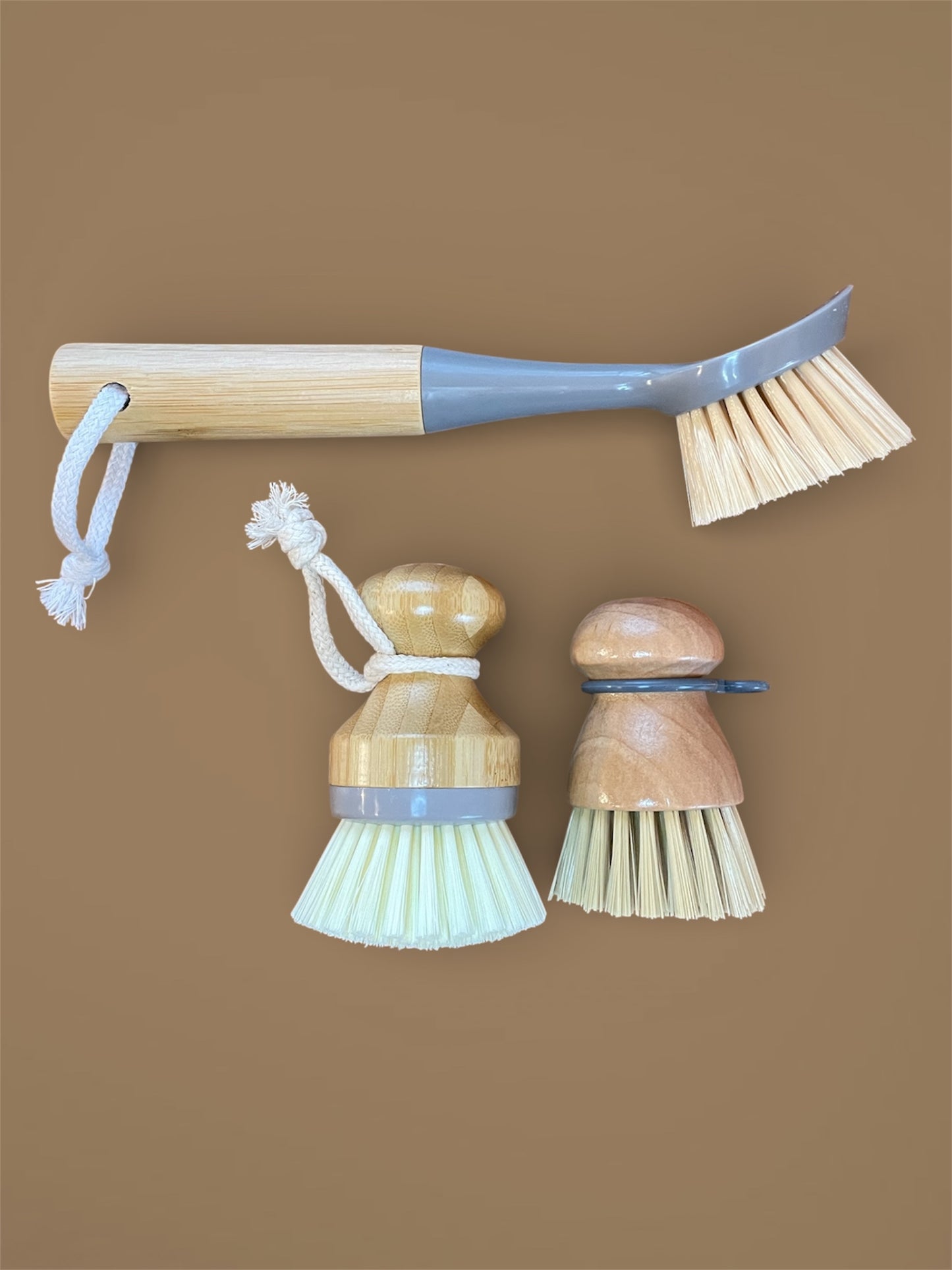 Dish Brush