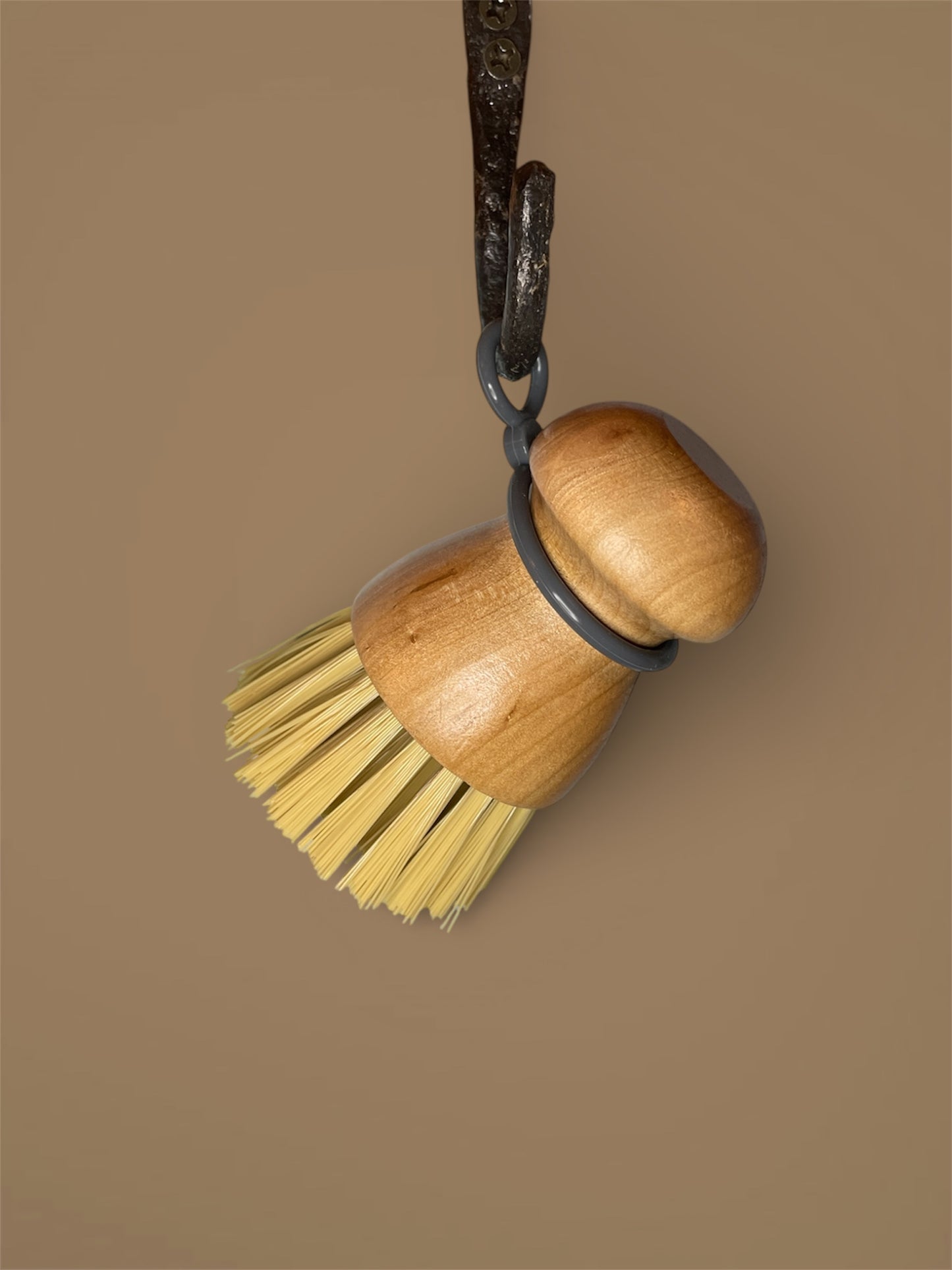 Dish Brush