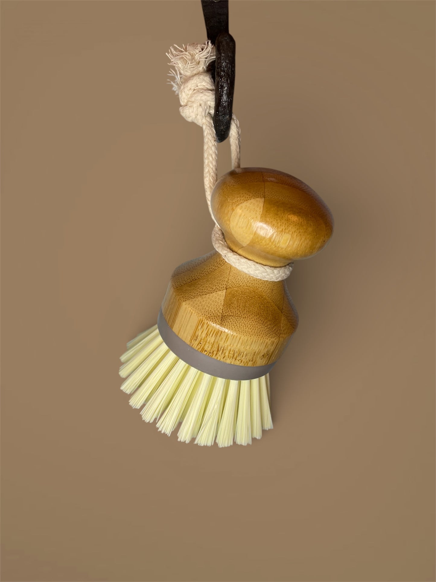 Dish Brush